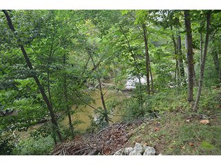Property photo 1 - REAL ESTATE AUCTION - 8.75+/- ACRES OFFERED IN 2 TRACTS IN ALLEN COUNTY